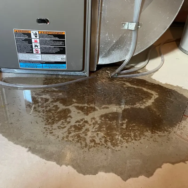 Appliance Leak Cleanup in East Pasadena, CA