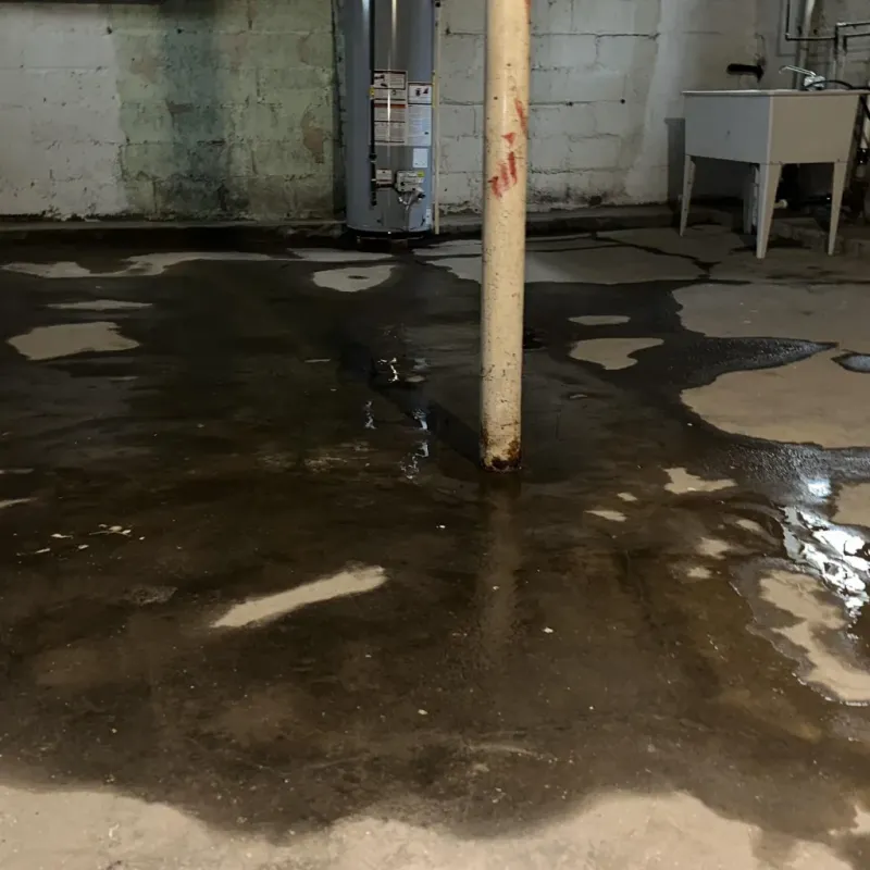 Emergency Water Extraction And Removal in East Pasadena, CA